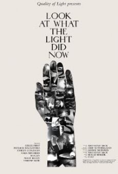 Look at What the Light Did Now streaming en ligne gratuit