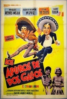 Los apuros de dos gallos online free