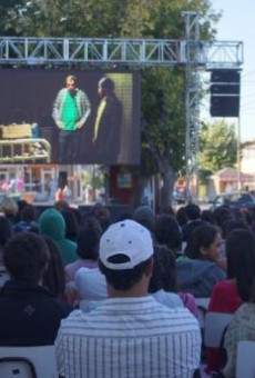 Ver película Los Araucanos