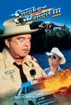 Smokey and the Bandit Part 3 online kostenlos