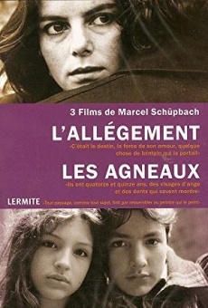 Les agneaux