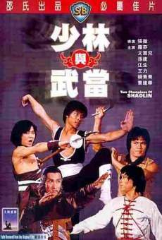 Ver película Los dos campeones del Shaolin