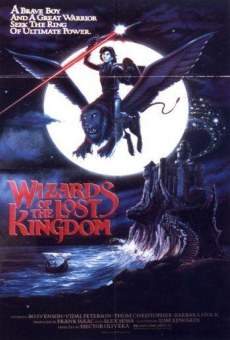 Wizards of the Lost Kingdom