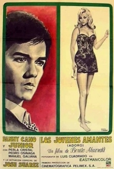 Los jóvenes amantes (1971)