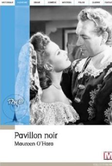 Pavillon noir streaming en ligne gratuit