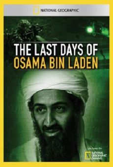 Ver película Los últimos días de Osama Bin Laden