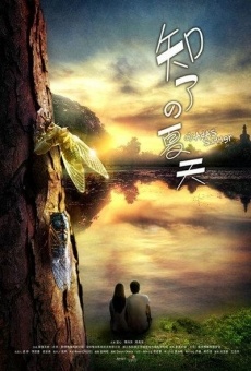 Lost Summer online streaming