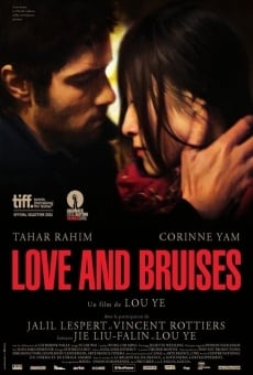 Watch Love and Bruises online stream