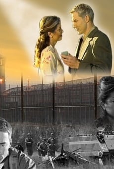 Love on-line gratuito