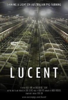 Lucent streaming en ligne gratuit