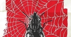 3 Flies in a Widow's Web