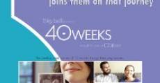 Película 40 Weeks