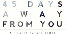 Ver película 45 Days Away from You