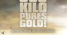 600 Kilo pures Gold!