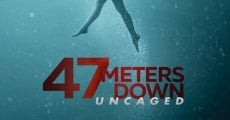 Película A 47 metros 2: El terror emerge