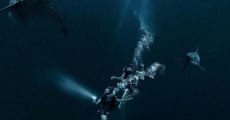 Filme completo 47 Meters Down