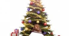 Ver película A Christmas Tree Miracle