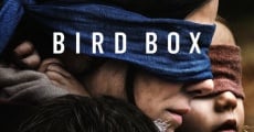 Bird Box