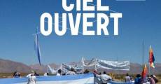 A ciel ouvert (2010)