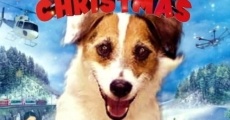 Filme completo A Doggone Christmas