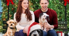 A Dogwalker's Christmas Tale streaming