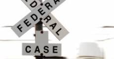 A Federal Case film complet