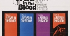 A Fever in the Blood (1961) stream