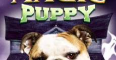 A Halloween Puppy (2012) stream