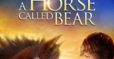 A Horse Called Bear (2015)