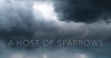A Host of Sparrows (2018) stream