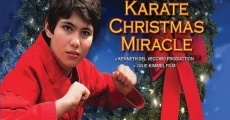 Película Un milagro navideño de karate