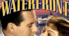 I Cover the Waterfront (1933) stream