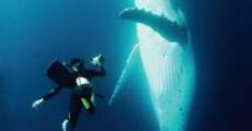 Película A Life Among Whales