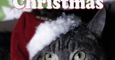 Ver película Una Navidad de miau