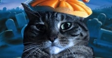 A Meowy Halloween streaming