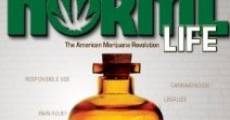 A Norml Life film complet
