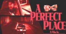 Filme completo A Perfect Place