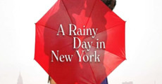 A Rainy Day in New York film complet