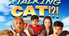 Película A Talking Cat!?!