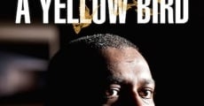 A Yellow Bird film complet