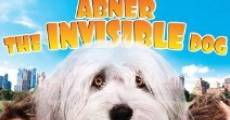 Abner, the Invisible Dog