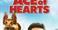 Ace of Hearts (2008)