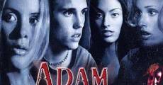Película Adam & Evil