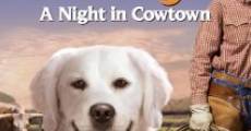 Película Adventures of Bailey: A Night in Cowtown