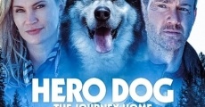 Hero Dog: The Journey Home (2021) stream