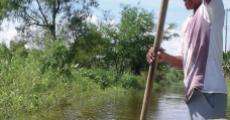 Película Agua de Tabasco