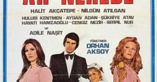 Ah Nerede (1975) stream