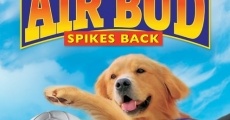 Película Air Bud 5: Golpea de nuevo