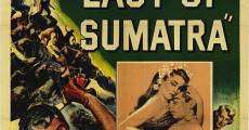 East of Sumatra (1953) stream