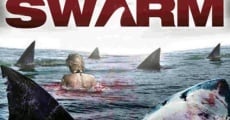 Película Alerta tiburones